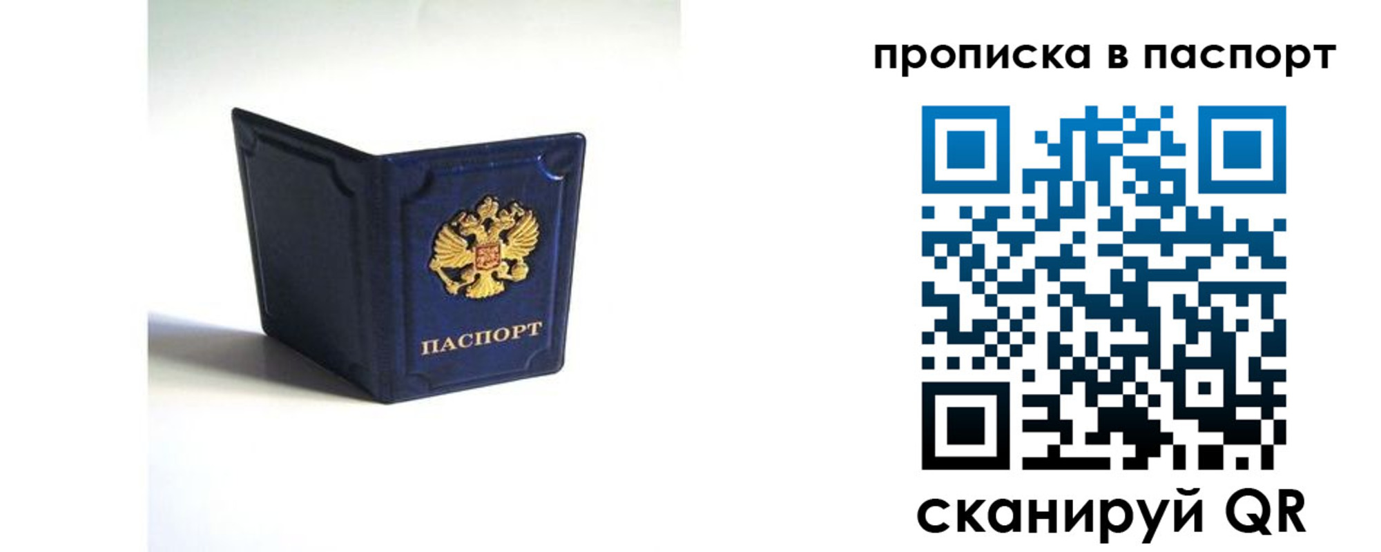 временная регистрация гарантия в Волосово